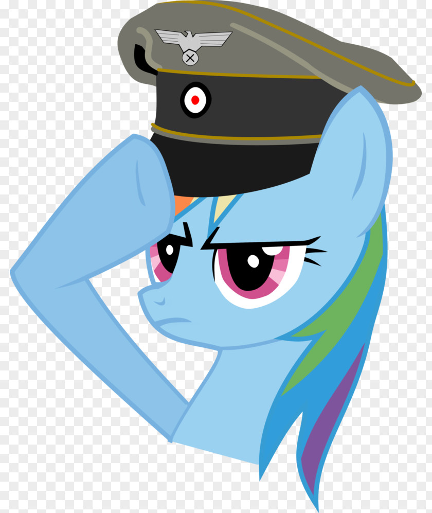 Rainbow Dash Twilight Sparkle Pony Soldier Salute PNG