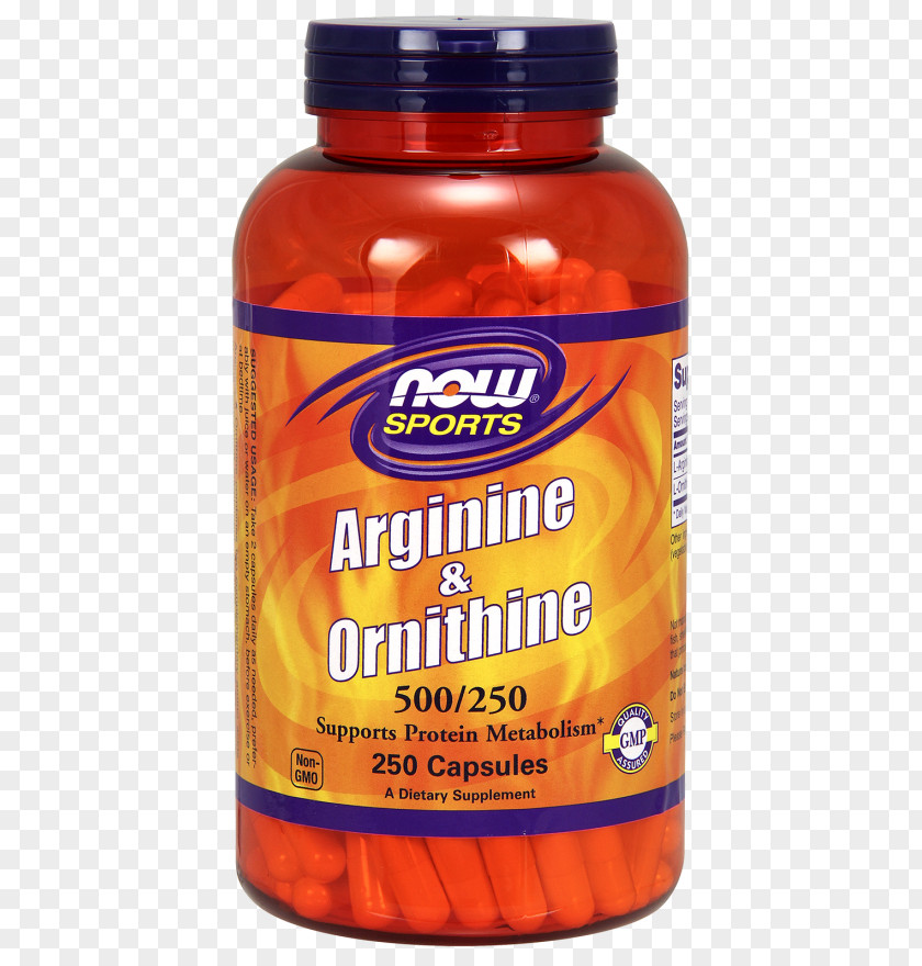 Urea Cycle Glutamine Dietary Supplement Ornithine Amino Acid Arginine NOW Foods PNG