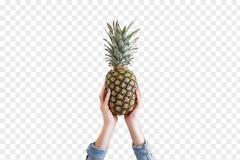 Waved Pineapple Fruit Theme Desktop Environment Wallpaper PNG