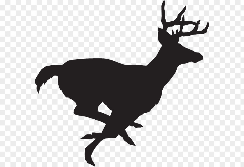 Deer White-tailed Clip Art Decal Hunting PNG