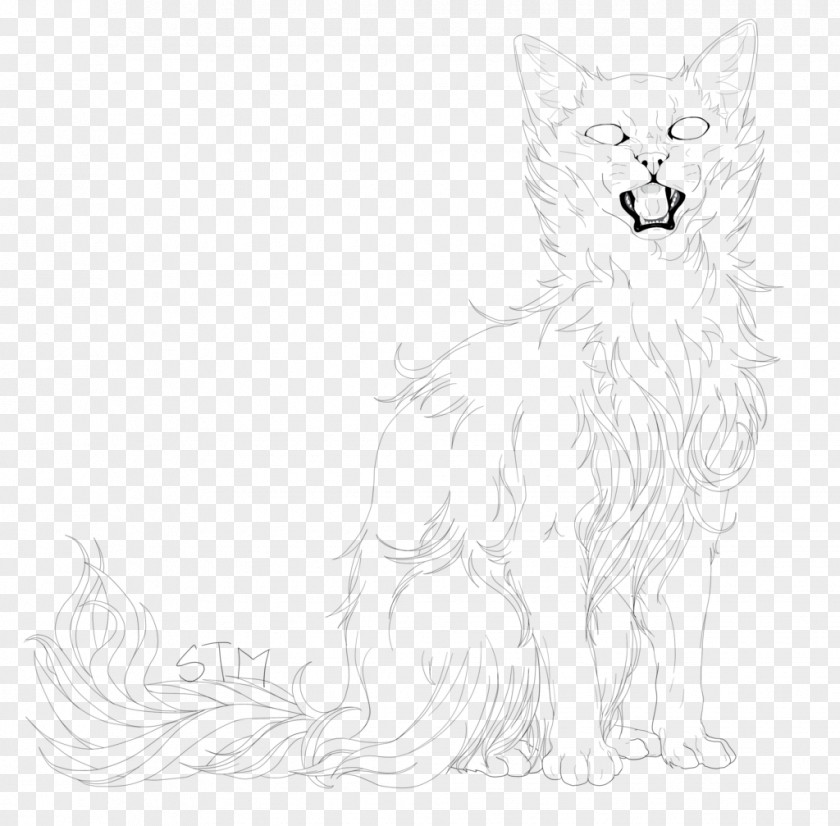Hairy Cat Dog Whiskers Red Fox Drawing PNG