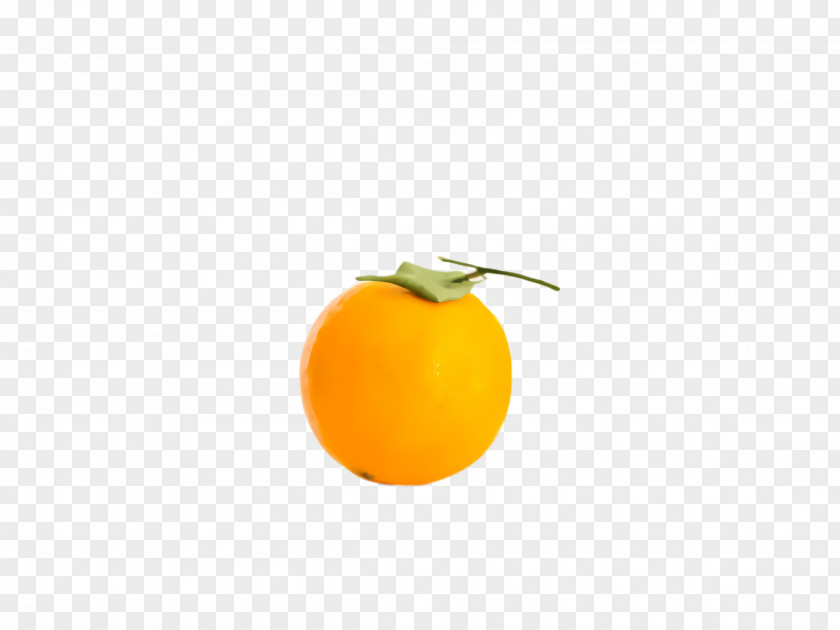 Kumquat Grapefruit Orange PNG