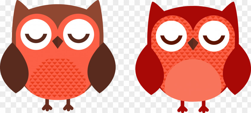Owl Download PNG