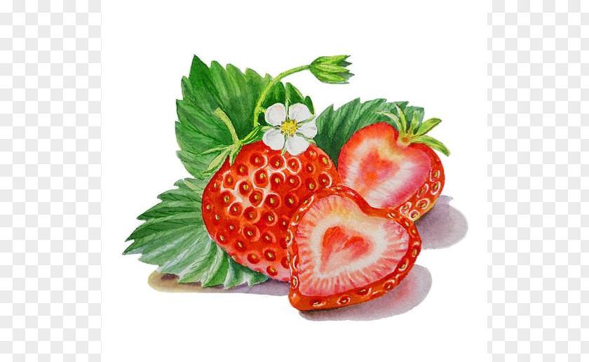 Painting Watercolor Strawberry Artist PNG