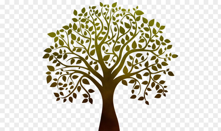 Plant Stem Branch Tree Leaf Woody PNG