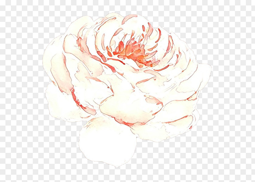 White Pink Drawing Sketch Watercolor Paint PNG