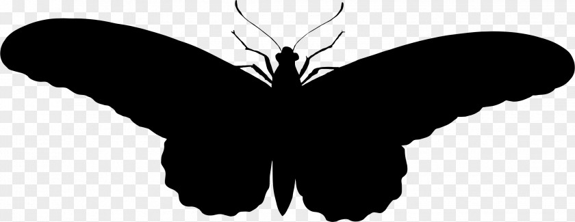 Black Wings Butterfly Silhouette Clip Art PNG