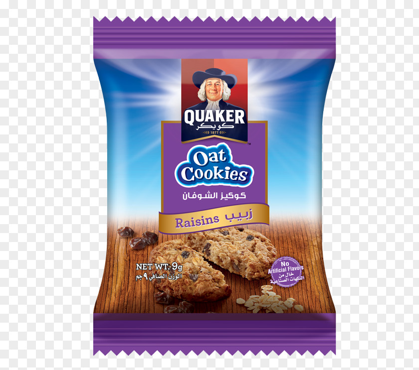 Chocolate Chip Cookie Quaker Oats Company Biscuits PNG