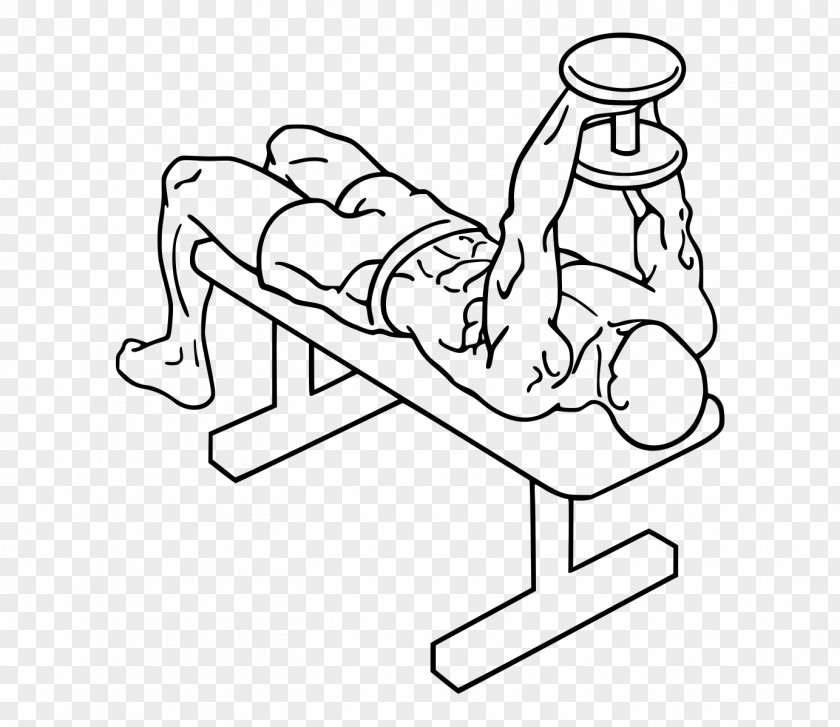 Dumbbell Bench Press Fly Barbell PNG