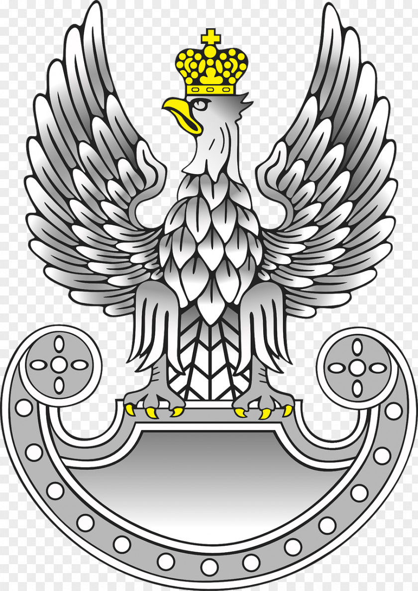 Eagle Poland Polish Land Forces Armed Army Air Force PNG