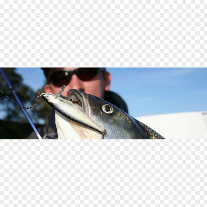 Fishing Baits & Lures Asp Plug PNG