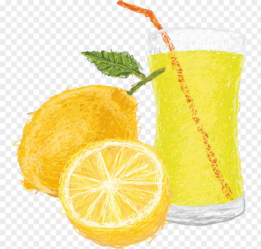 Lemon Lemon-lime Drink Juice Illustration Orange PNG
