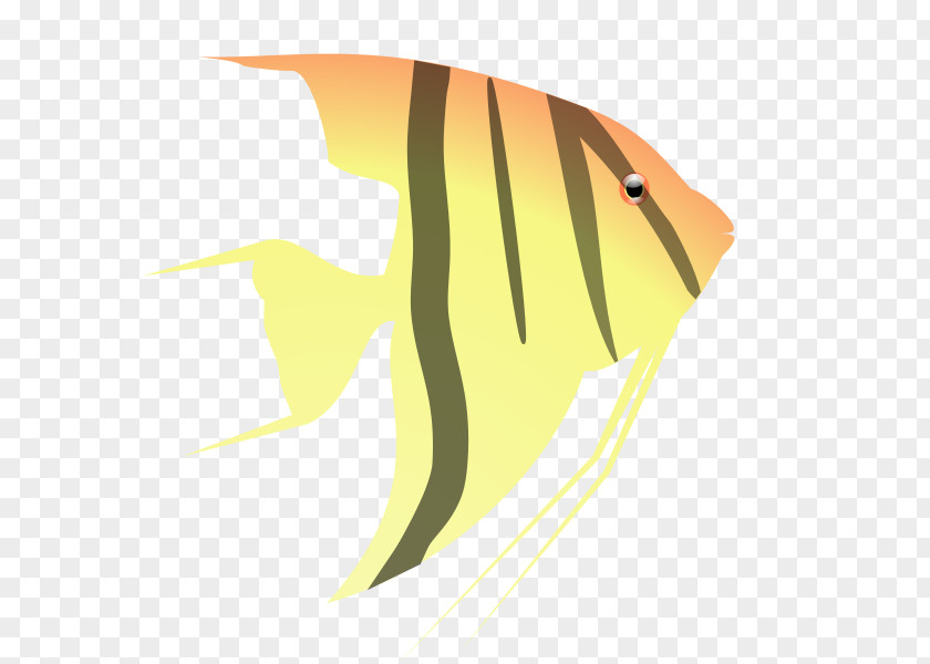 Angelfish Clipart Clip Art PNG