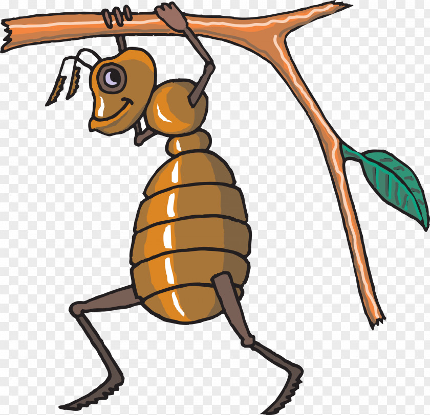 Ants Honey Bee Hornet Clip Art PNG