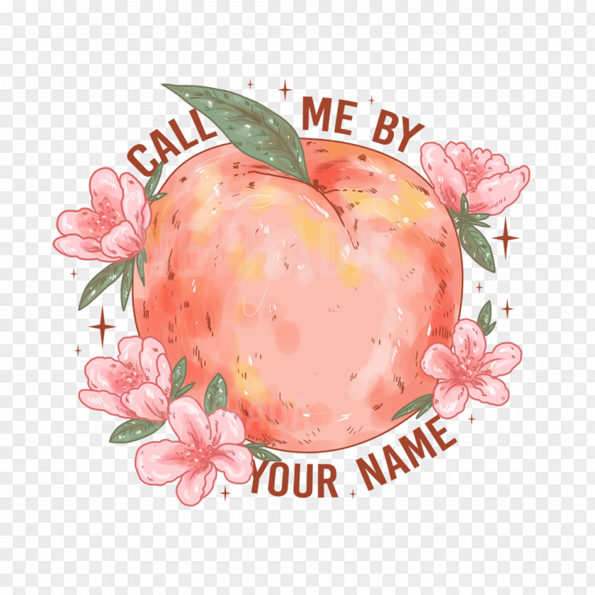 Call Me By Your Name T-shirt YouTube Film AACTA Awards Art PNG