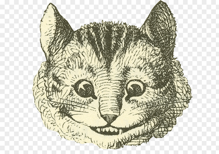 Cat Cheshire Alice's Adventures In Wonderland White Rabbit Mad Hatter PNG