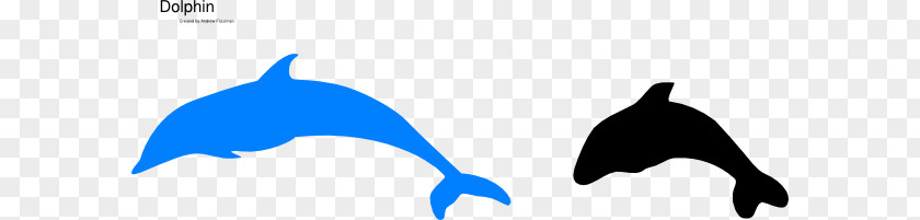 Dolphin Killer Whale Art PNG