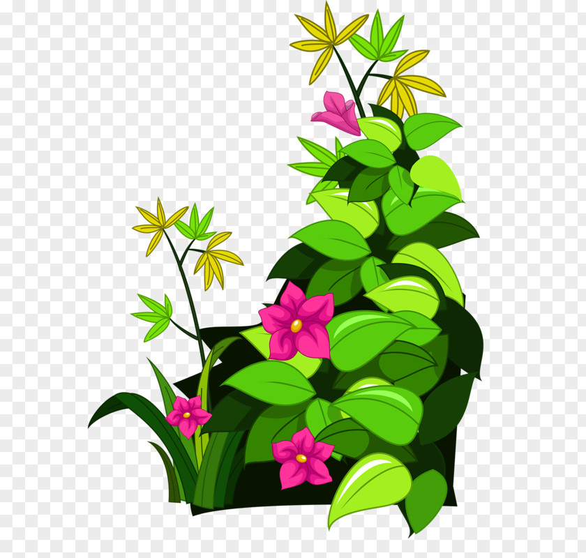 Flowers And Green Grass Drawing Cartoon PNG