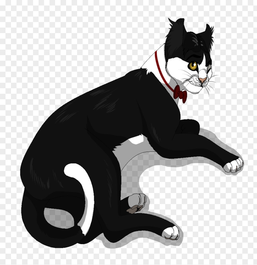 Good Looking Whiskers Domestic Short-haired Cat Paw Character PNG