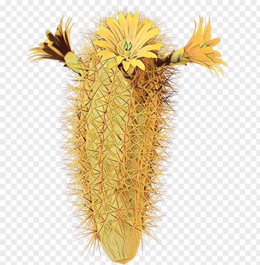 Hedgehog Cactus Yellow Cartoon PNG