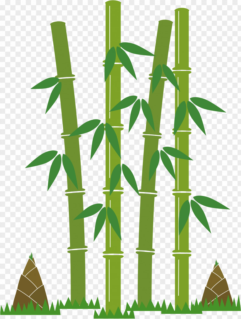 Bamboo Shoot Cartoon Tropical Woody Bamboos Book Image PNG