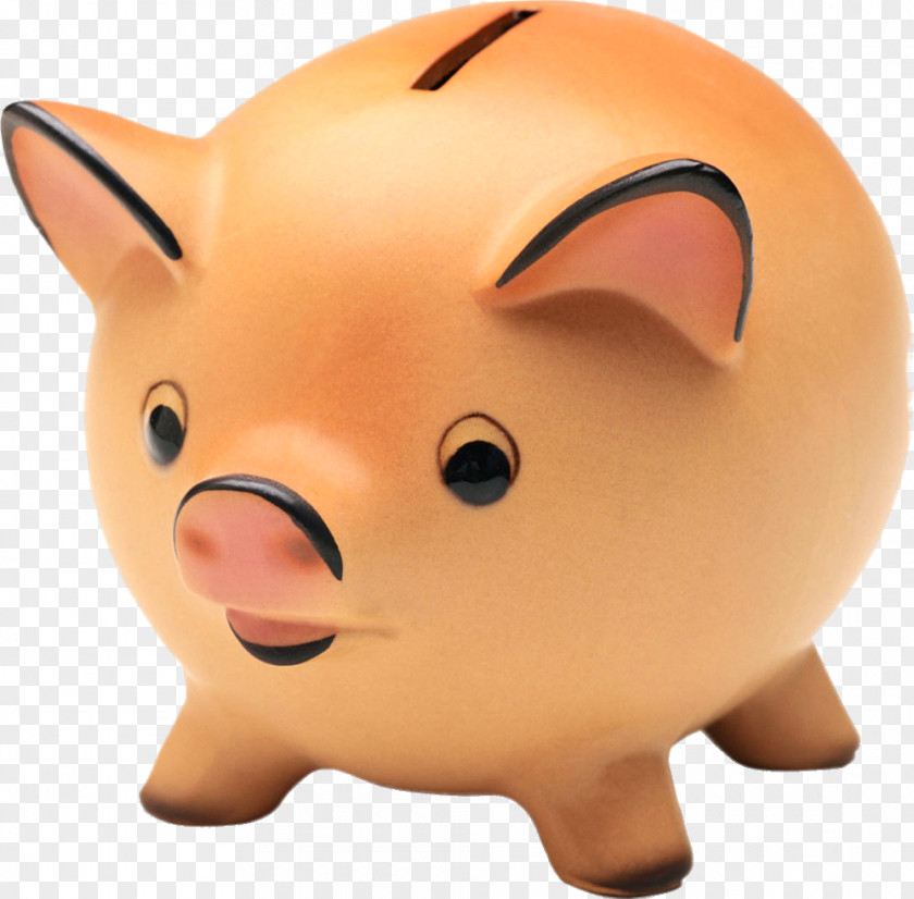 Cute Pig Piggy Bank Animation Giphy PNG
