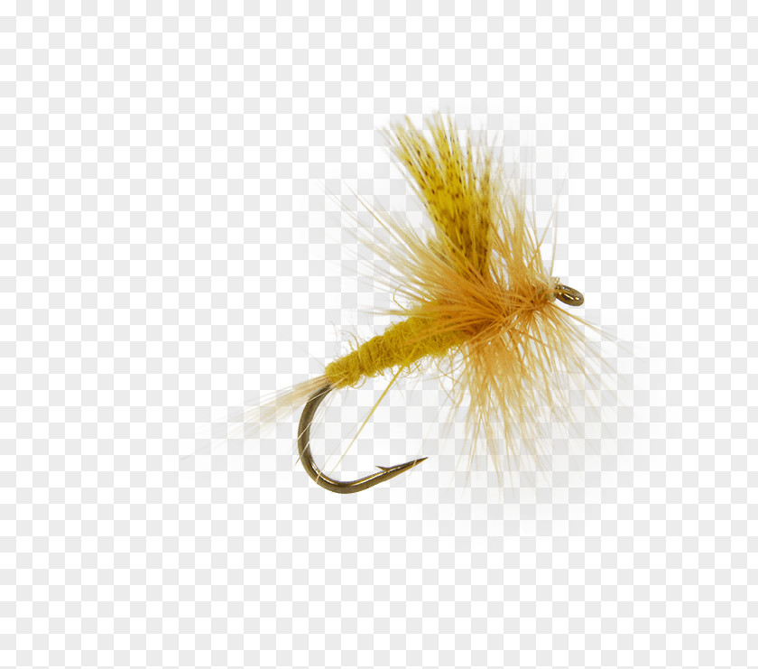 Fly Fishing Dry Flies Artificial Insect Caddisflies PNG