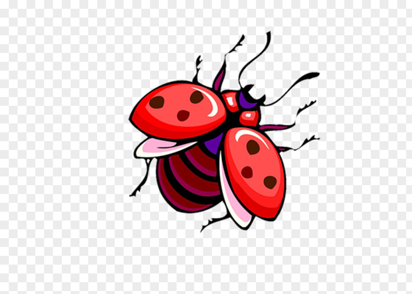 Gm Ladybird Drawing Cartoon Clip Art PNG