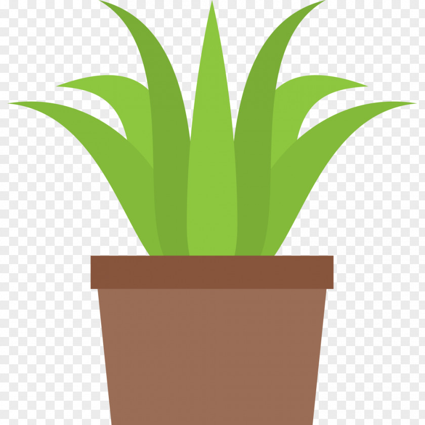 Green Means Go Flowerpot Vector Graphics Penjing Image Design PNG