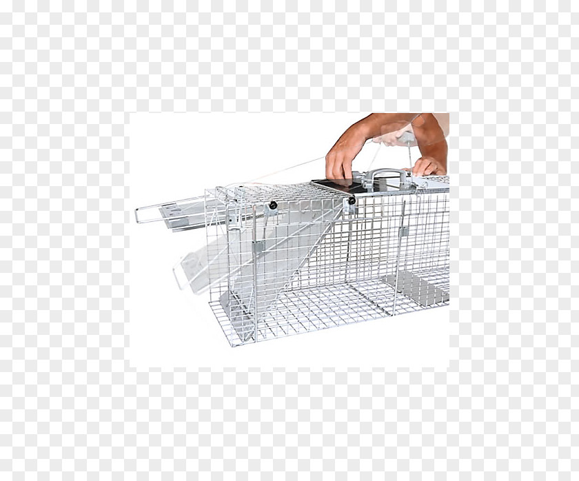 Mouse Trap Trapping Raccoon Cage Door Mousetrap PNG