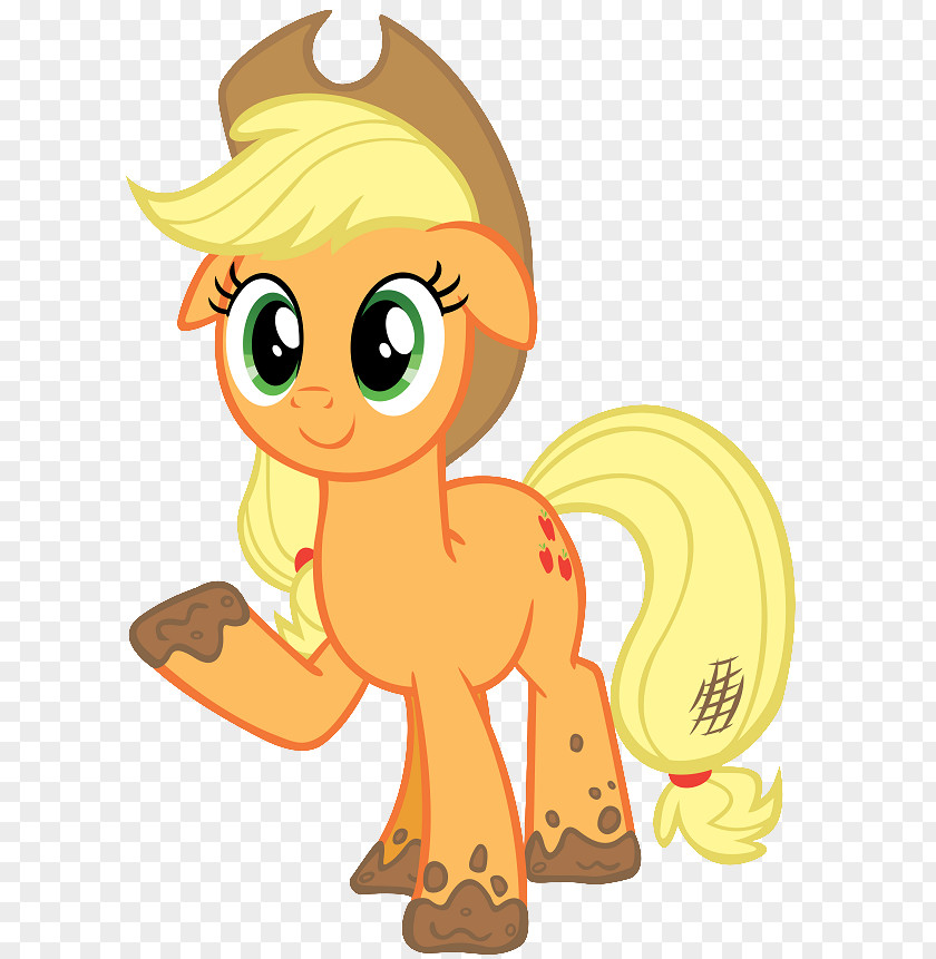 My Little Pony Applejack Rainbow Dash Rarity Twilight Sparkle PNG