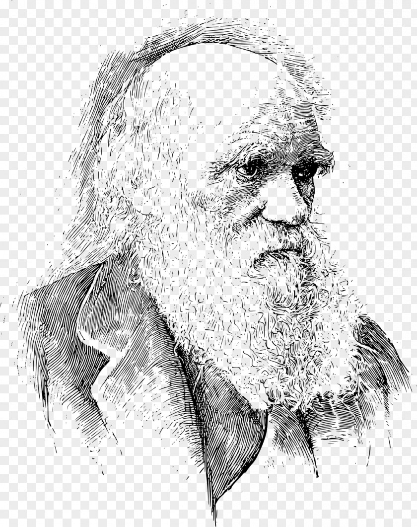 Portrait On The Origin Of Species Voyage Beagle Darwin Day Darwinism Evolution PNG