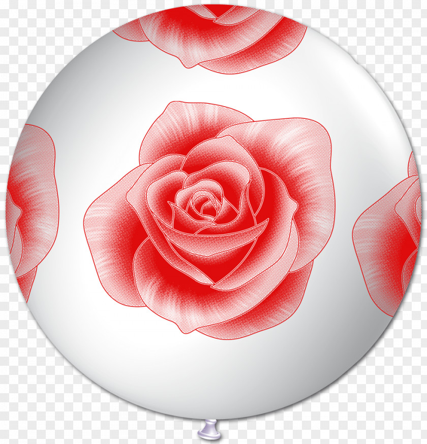 Rose Garden Roses Ballonglandet Red Balloon PNG