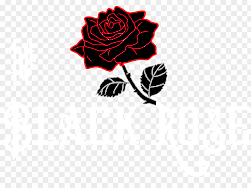 Rose The Black Desktop Wallpaper PNG