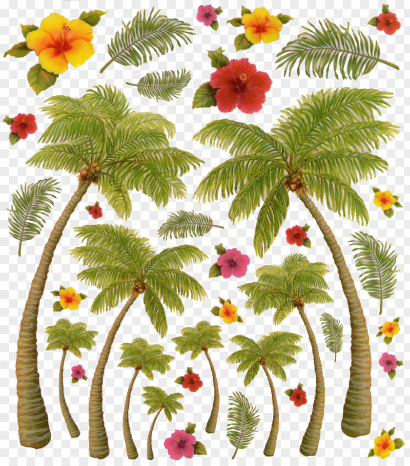 Sticker Art Decal Scrapbooking Floral Design PNG
