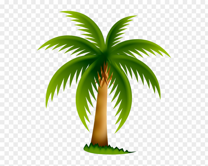 Tree Arecaceae Clip Art PNG