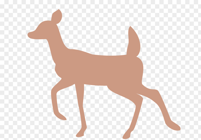 Deer White-tailed Reindeer Moose Silhouette PNG