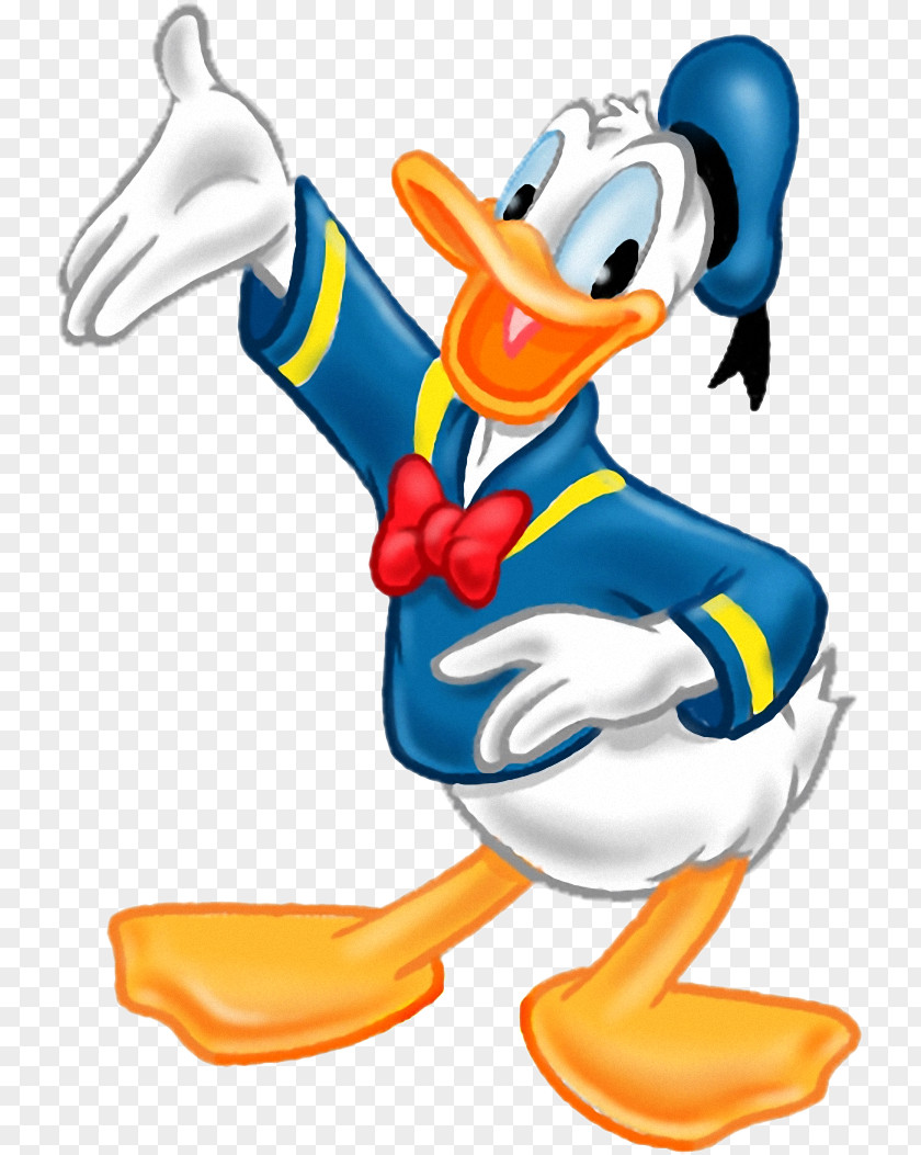 Donald Duck Duck: Goin' Quackers Daisy Minnie Mouse Mickey PNG