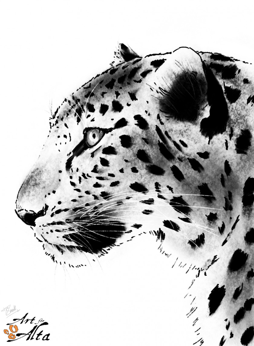 Leopard Tiger Amur Snow River Cheetah PNG