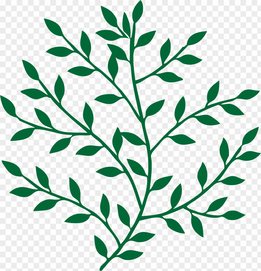 Olive Leaf Branch Metal Wall Decal PNG