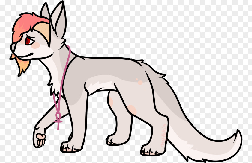 Dog Whiskers Cat Red Fox Clip Art PNG