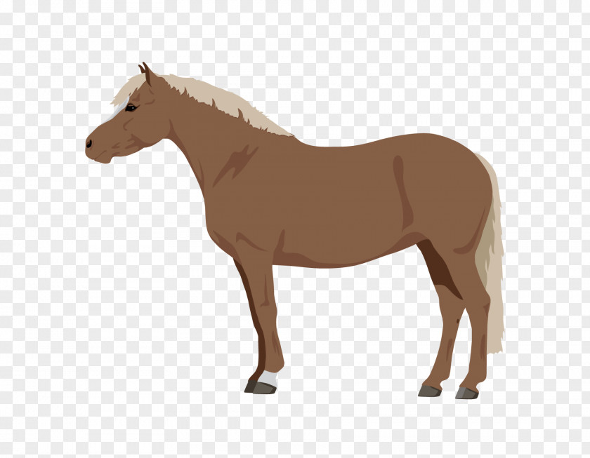 Horse Royalty-free Stock Photography Pony Illustration PNG