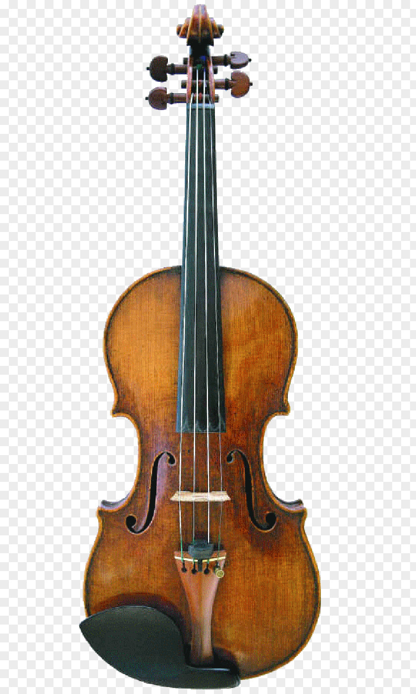 Violin Cremona Lady Blunt Stradivarius Musical Instruments PNG