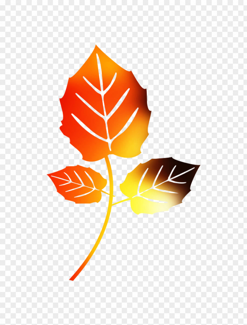 Banyan Image Leaf Vector Graphics PNG