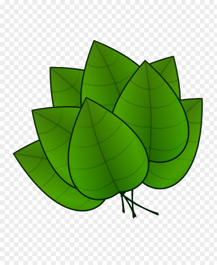 Folha Plant Leaves Leaf Clip Art PNG