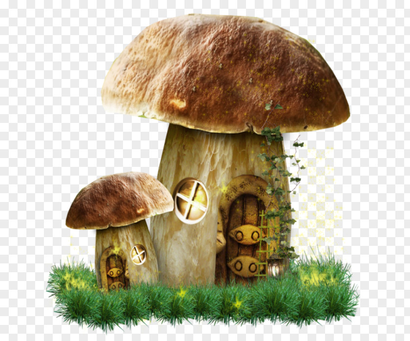 Mushroom House Fungus Hedgehog And Mushrooms Clip Art PNG
