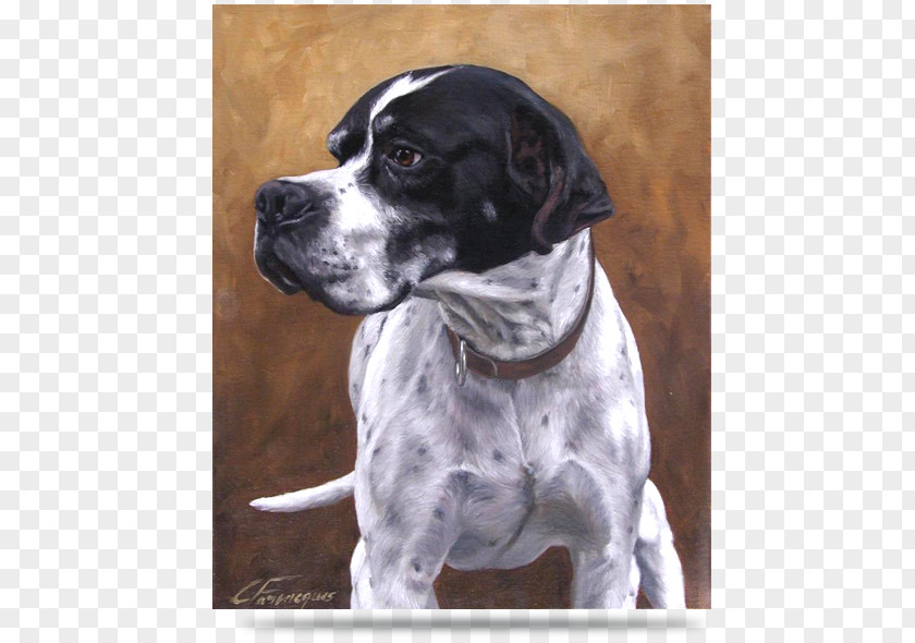 Painting Old Danish Pointer Auvergne Dog Breed Rare (dog) PNG