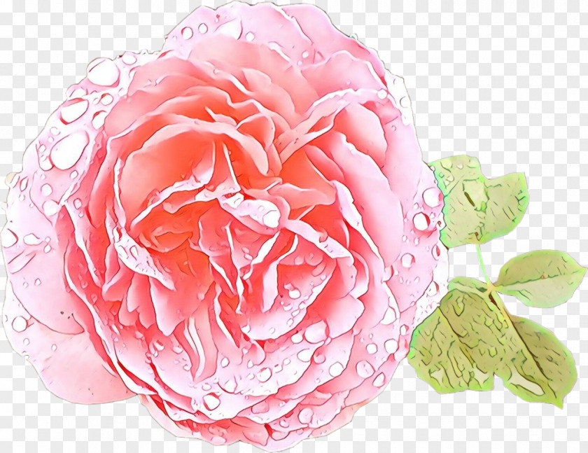 Pink Family Camellia Flower Cartoon PNG