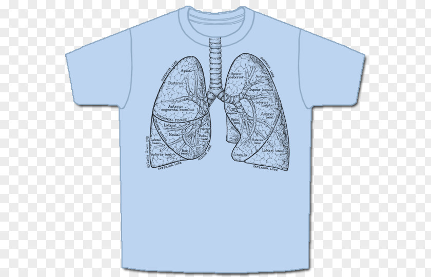 T-shirt Human Digestive System Respiratory Sleeve PNG