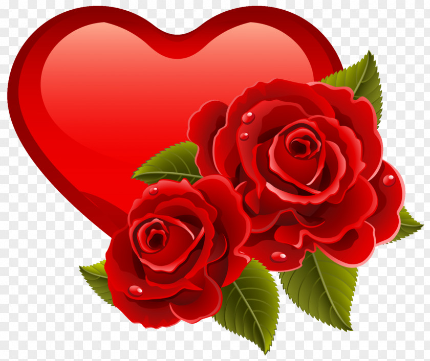 Heart Valentine's Day Double Rose Clip Art PNG